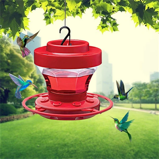 Mangiatoia sospesa per colibrì – Antingresso per api e 8 posatoi per il giardino