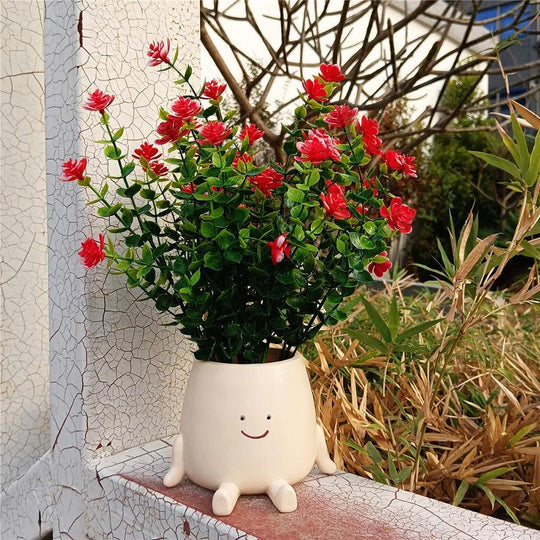 Hangende Succulenten Pot