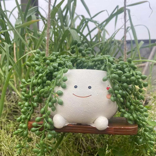 Hangende Succulenten Pot