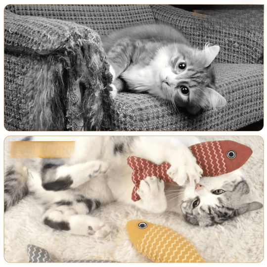 Interactive Catnip Fish Toy – Chewing, Kicking, and Playing for Indoor Cats