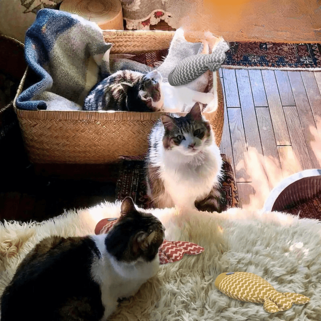 Interactive Catnip Fish Toy – Chewing, Kicking, and Playing for Indoor Cats
