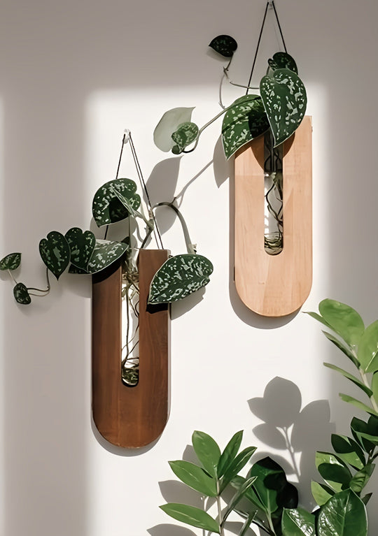 Wooden Wall Planters for Houseplants