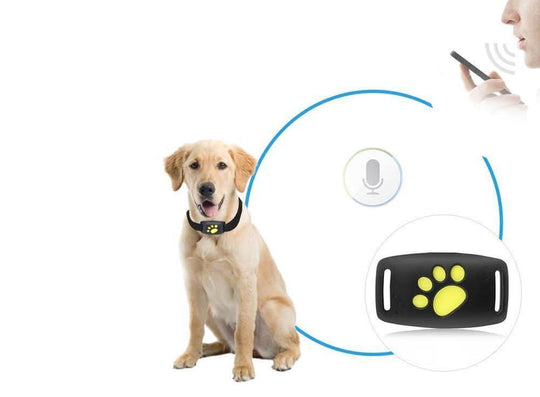 Cat GPS Tracking Collar | Real-Time Location Monitoring Device