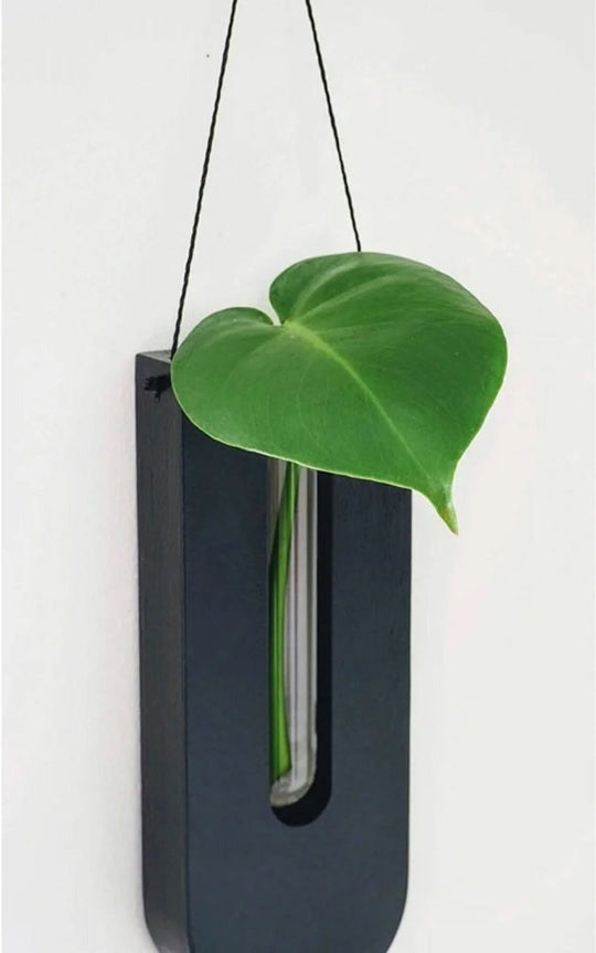 Wooden Wall Planters for Houseplants
