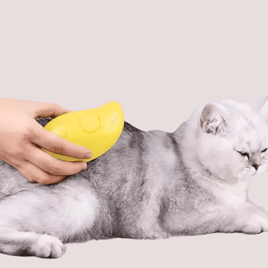 Elektrische Kattenborstel met Watersproeier
