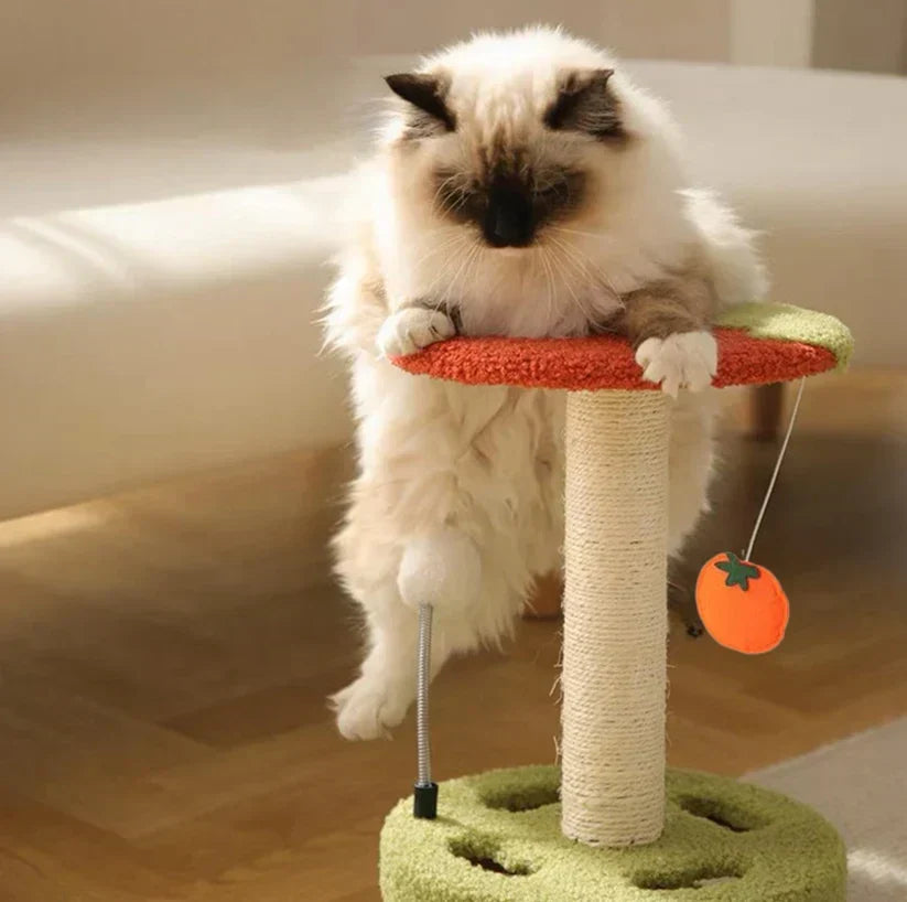 Krab &amp; Speel Toren – Compact Krabplezier voor Elke Kat