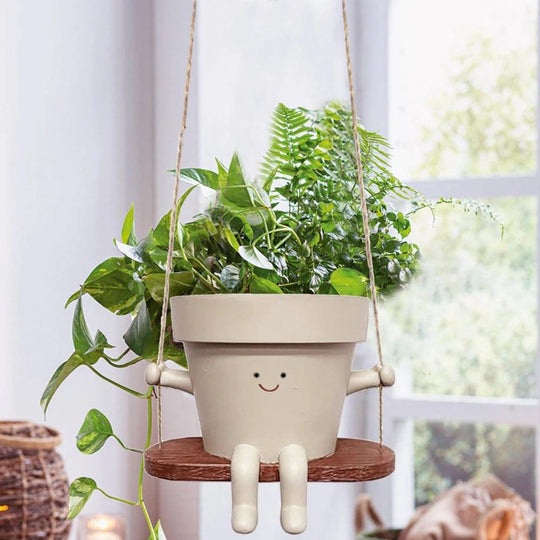 Hangende Succulenten Pot