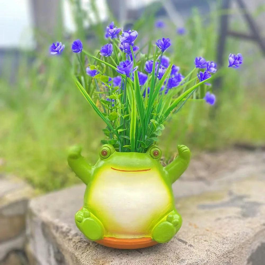 Hangende Succulenten Pot
