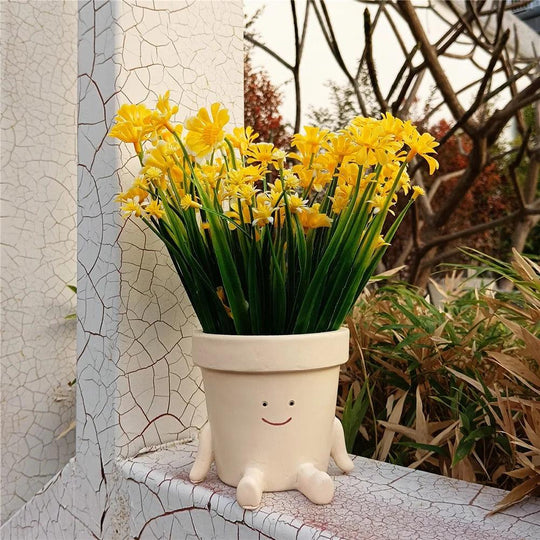 Hangende Succulenten Pot