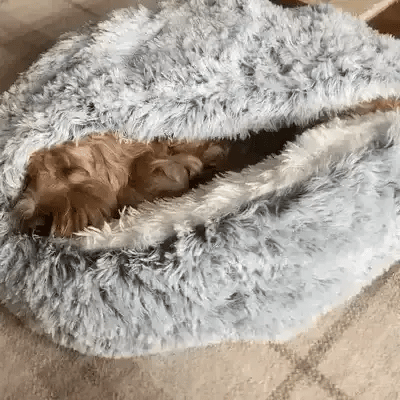 Huisdierbed – Knus Grotmodel met Zachte Vulling