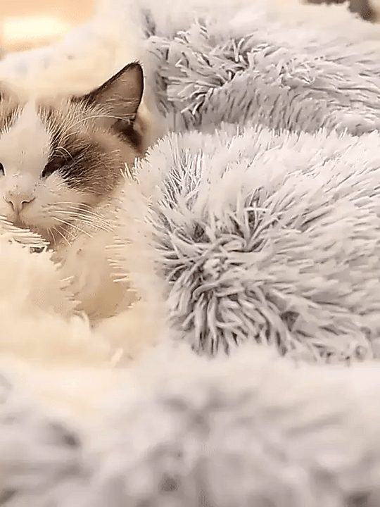 Winter Pet Bed – Cozy Cave Design with Soft Filling