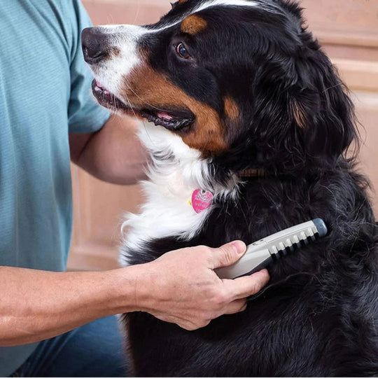 Vachttrimmer Huisdier – Pijnloos Ontklitten voor Hond &amp; Kat