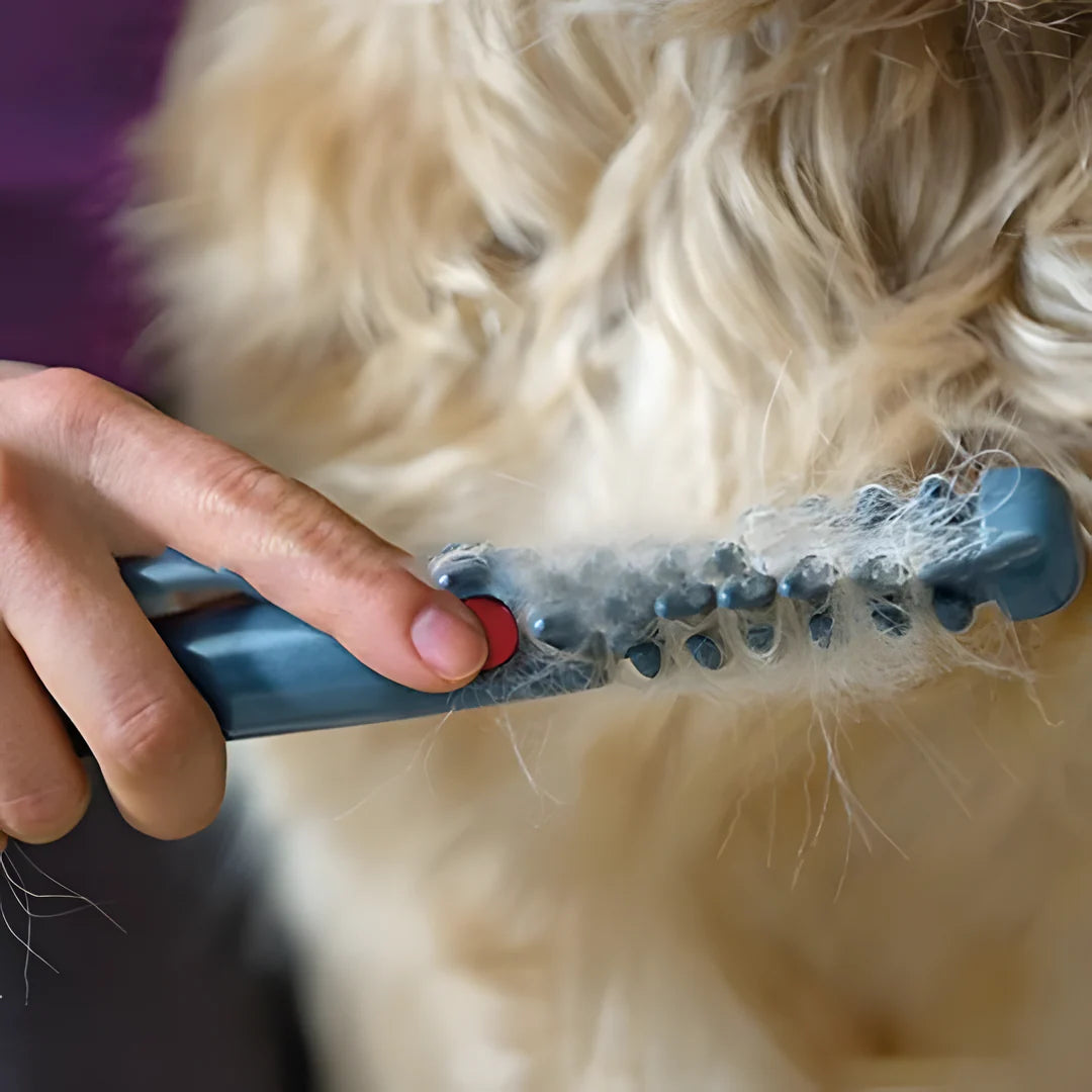 Vachttrimmer Huisdier – Pijnloos Ontklitten voor Hond &amp; Kat